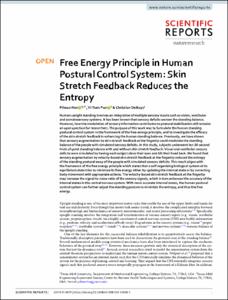 Free Energy Principle in Human Postural Control System: Skin Stretch Feedback Reduces the Entropy