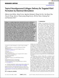 Topical Nanoliposomal Collagen Delivery for Targeted Fibril Formation by Electrical Stimulation