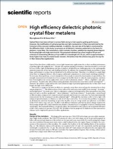 High efficiency dielectric photonic crystal fiber metalens