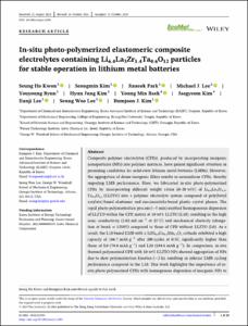 In-situ photo-polymerized elastomeric composite electrolytes containing Li6.4La3Zr1.4Ta0.6O12 particles for stable operation in lithium metal batteries