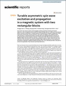 Tunable asymmetric spin wave excitation and propagation in a magnetic system with two rectangular blocks