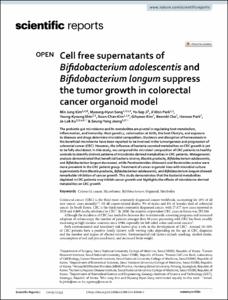 Cell free supernatants of Bifidobacterium adolescentis and Bifidobacterium longum suppress the tumor growth in colorectal cancer organoid model