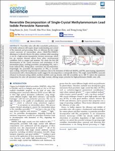 Reversible Decomposition of Single-Crystal Methylammonium Lead Iodide Perovskite Nanorods