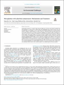 Microplastics with adsorbed contaminants: Mechanisms and Treatment