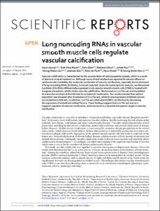 Long noncoding RNAs in vascular smooth muscle cells regulate vascular calcification