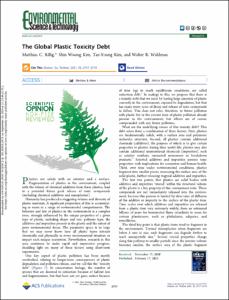 The Global Plastic Toxicity Debt