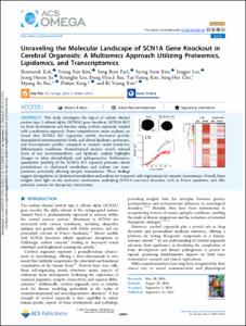 Unraveling the Molecular Landscape of SCN1A Gene Knockout in Cerebral Organoids: A Multiomics Approach Utilizing Proteomics, Lipidomics, and Transcriptomics