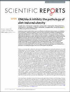 ENOblock inhibits the pathology of diet-induced obesity