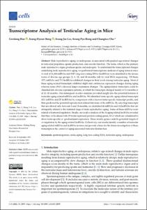 Transcriptome analysis of testicular aging in mice