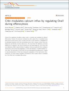 Crbn modulates calcium influx by regulating Orai1 during efferocytosis