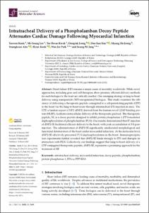 Intratracheal Delivery of a Phospholamban Decoy Peptide Attenuates Cardiac Damage Following Myocardial Infarction