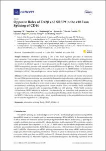 Opposite Roles of Tra2 beta and SRSF9 in the v10 Exon Splicing of CD44