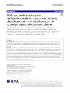 Bifidobacterial carbohydrate/nucleoside metabolism enhances oxidative phosphorylation in white adipose tissue to protect against diet-induced obesity