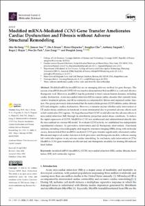 Modified mRNA-Mediated CCN5 Gene Transfer Ameliorates Cardiac Dysfunction and Fibrosis without Adverse Structural Remodeling