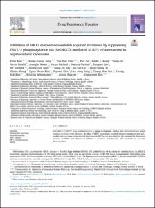 Inhibition of SIRT7 overcomes sorafenib acquired resistance by suppressing ERK1/2 phosphorylation via the DDX3X-mediated NLRP3 inflammasome in hepatocellular carcinoma