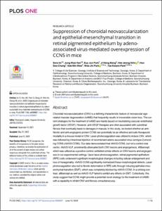 Suppression of choroidal neovascularization and epithelial-mesenchymal transition in retinal pigmented epithelium by adeno-associated virus-mediated overexpression of CCN5 in mice