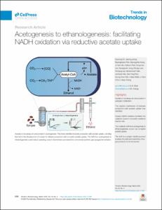 Acetogenesis to ethanologenesis: facilitating NADH oxidation via reductive acetate uptake