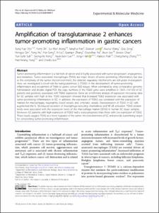 Amplification of transglutaminase 2 enhances tumor-promoting inflammation in gastric cancers