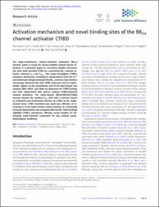 Activation mechanism and novel binding sites of the BKCa channel activator CTIBD