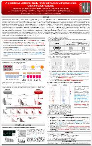 A Quantitative Lipidomic Study for 3D Cell Culture Using Deuterium Oxide Metabolic Labeling