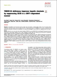 TMEM135 deficiency improves hepatic steatosis by suppressing CD36 in a SIRT1-dependent manner