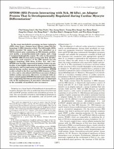 SPIN90 (SH3 protein interacting with Nck, 90 kDa), an adaptor protein that is developmentally regulated during cardiac myocyte differentiation