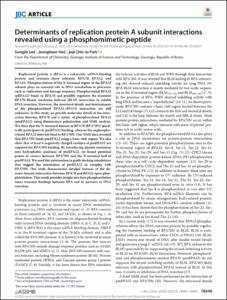Determinants of replication protein A subunit interactions revealed using a phosphomimetic peptide