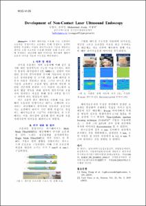Development of Non-Contact Laser Ultrasound Endoscopy