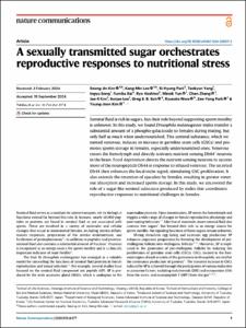 A sexually transmitted sugar orchestrates reproductive responses to nutritional stress