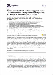 Nanochannel-Confined TAMRA-Polypyrrole Stained DNA Stretching by Varying the Ionic Strength from Micromolar to Millimolar  concentrations