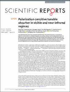 Polarization-sensitive tunable absorber in visible and near-infrared regimes