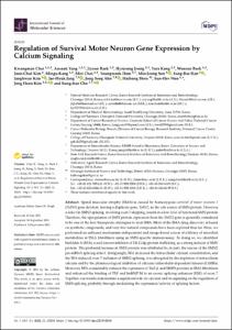 Regulation of Survival Motor Neuron Gene Expression by Calcium Signaling