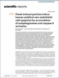 Diesel exhaust particles induce human umbilical vein endothelial cells apoptosis by accumulation of autophagosomes and caspase-8 activation