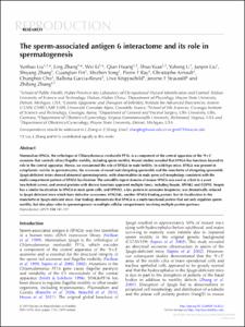 The sperm-associated antigen 6 interactome and its role in spermatogenesis