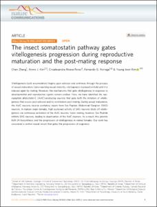 The insect somatostatin pathway gates vitellogenesis progression during reproductive maturation and the post-mating response