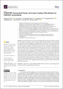 P300/CBP-Associated Factor Activates Cardiac Fibroblasts by SMAD2 Acetylation