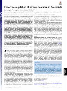 Endocrine regulation of airway clearance in Drosophila