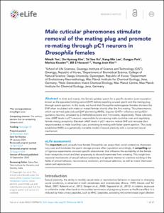 Male cuticular pheromones stimulate removal of the mating plug and promote re-mating through pC1 neurons in Drosophila females