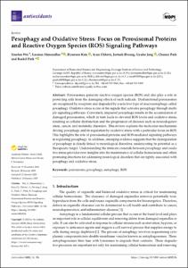 Pexophagy and Oxidative Stress: Focus on Peroxisomal Proteins and Reactive Oxygen Species (ROS) Signaling Pathways