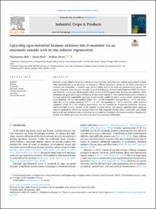 Upcycling agro-industrial biomass molasses into D-mannitol via an enzymatic cascade with in situ cofactor regeneration