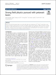 Strong field physics pursued with petawatt lasers