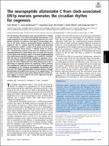 The neuropeptide allatostatin C from clock-associated DN1p neurons generates the circadian rhythm for oogenesis