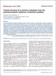 Crystal structure of γ-carbonic anhydrase from the polyextremophilic bacterium Aeribacillus pallidus