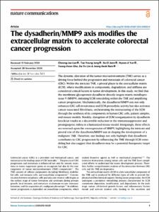 The dysadherin/MMP9 axis modifies the extracellular matrix to accelerate colorectal cancer progression