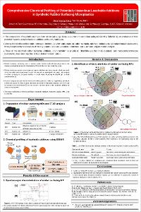 Comprehensive Chemical Profiling of Potentially Hazardous Additives in Leachates from Synthetic Rubber Surfacing
