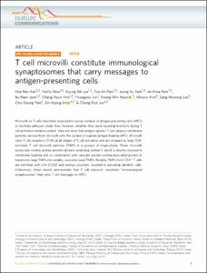 T cell microvilli constitute immunological synaptosomes that carry messages to antigen-presenting cells