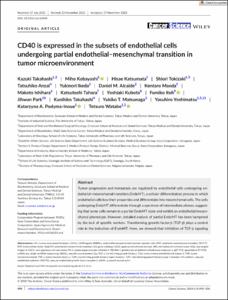 CD40 is expressed in the subsets of endothelial cells undergoing partial endothelial–mesenchymal transition in tumor microenvironment