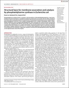 Structural basis for membrane association and catalysis by phosphatidylserine synthase in Escherichia coli