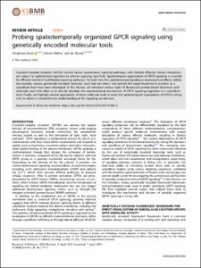 Probing spatiotemporally organized GPCR signaling using genetically encoded molecular tools