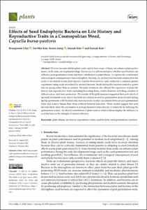 Effects of Seed Endophytic Bacteria on Life History and Reproductive Traits in a Cosmopolitan Weed, Capsella bursa-pastoris